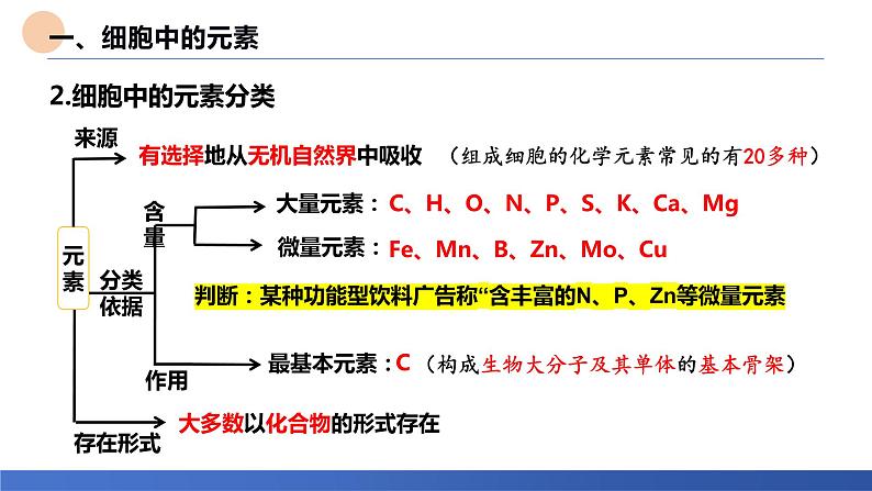 2024届高三生物一轮复习课件：考点3 细胞中的元素和化合物第4页