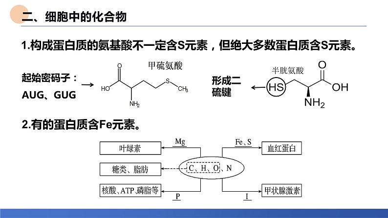 2024届高三生物一轮复习课件：考点3 细胞中的元素和化合物第7页