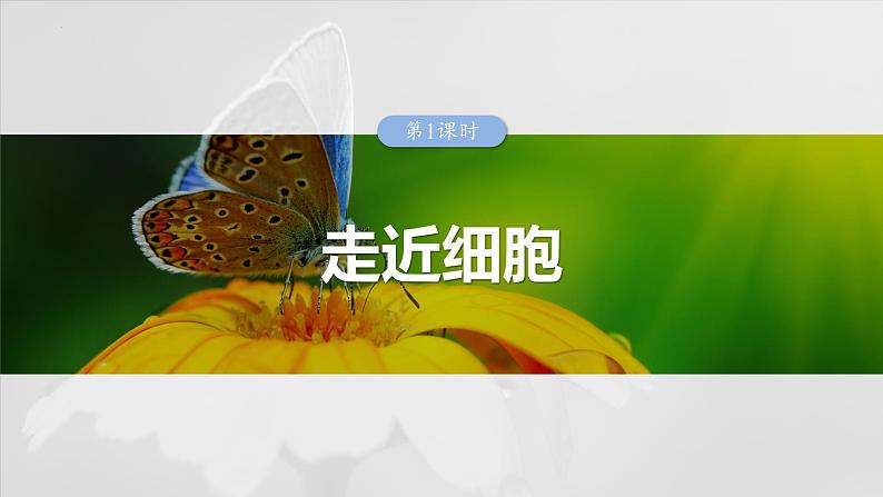 2024届高三生物一轮复习课件第1课时　走近细胞第1页