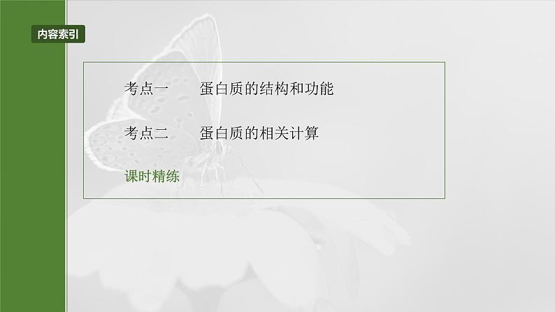 2024届高三生物一轮复习课件第4课时　蛋白质是生命活动的主要承担者第3页