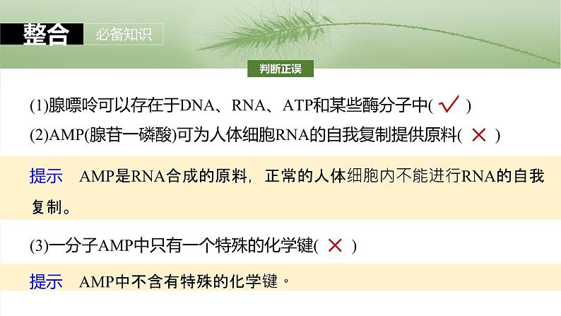 2024届高三生物一轮复习课件第三单元　第12课时　细胞的能量“货币”ATP07