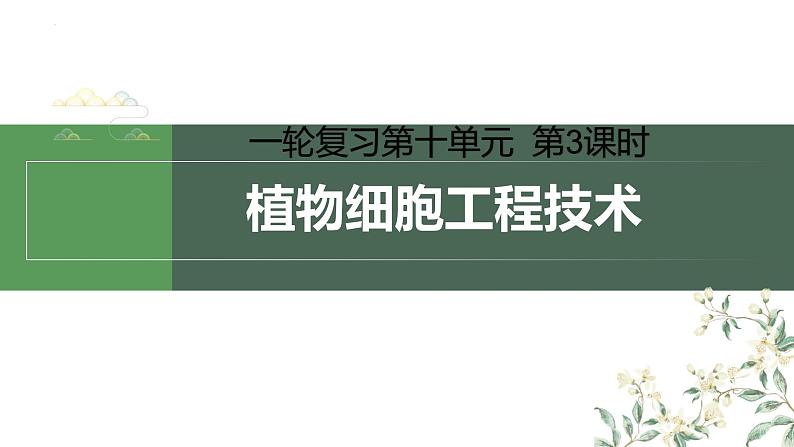 2024届高三生物一轮复习课件植物细胞工程技术第1页