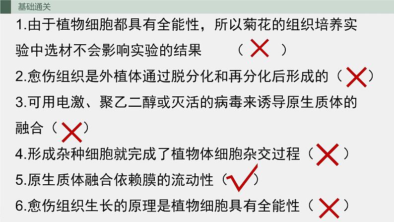 2024届高三生物一轮复习课件植物细胞工程技术第6页