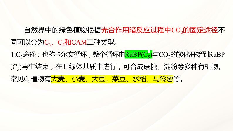 2024届高三一轮复习生物：C3植物、C4植物和CAM植物课件第2页