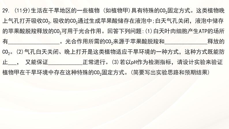 2024届高三一轮复习生物：C3植物、C4植物和CAM植物课件第7页