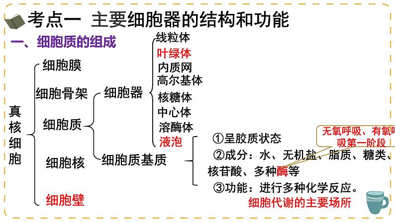 2024届高三一轮复习生物：细胞器之间的分工与合作课件07