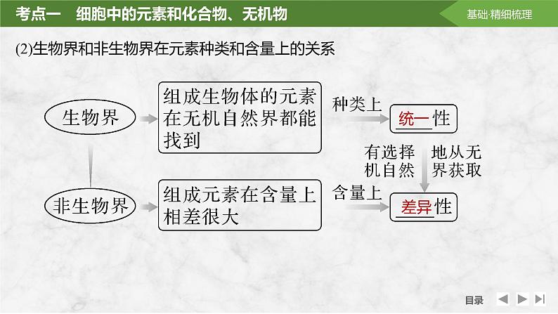 2024届高三一轮复习生物：细胞中的无机物、糖类和脂质课件03