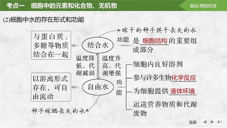 2024届高三一轮复习生物：细胞中的无机物、糖类和脂质课件08