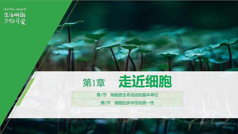 2024届高三一轮复习生物：走近细胞课件01