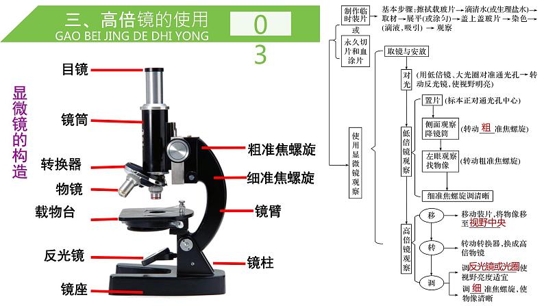 2024届高三一轮复习生物：走近细胞课件08