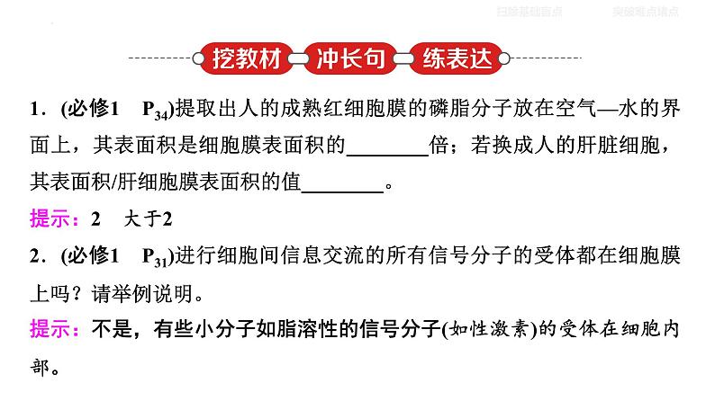 2024年高考生物二轮复习课件：细胞的结构第6页