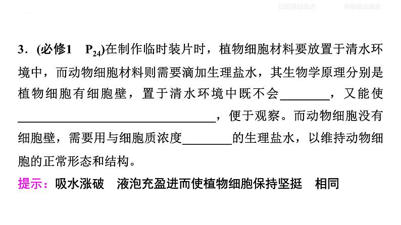 2024年高考生物二轮复习课件：细胞的结构第7页