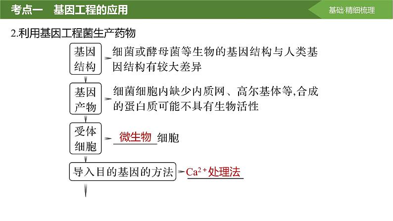 2025届高三生物一轮复习第55讲：基因工程的应用和蛋白质工程课件06