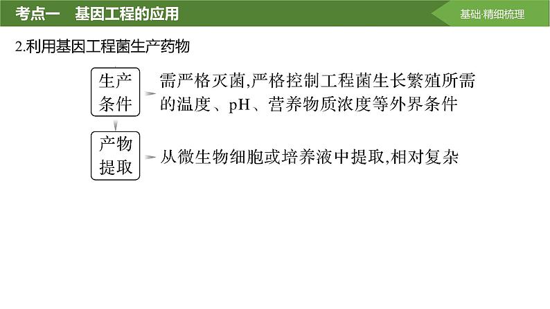 2025届高三生物一轮复习第55讲：基因工程的应用和蛋白质工程课件07