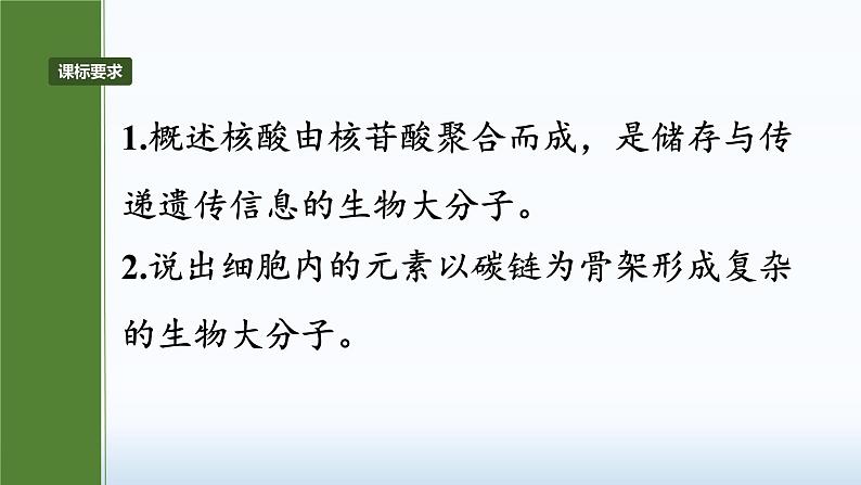 2025届高三生物一轮复习课件2.5核酸是遗传信息的携带者03