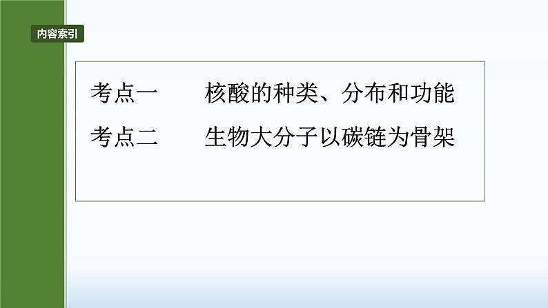 2025届高三生物一轮复习课件2.5核酸是遗传信息的携带者04