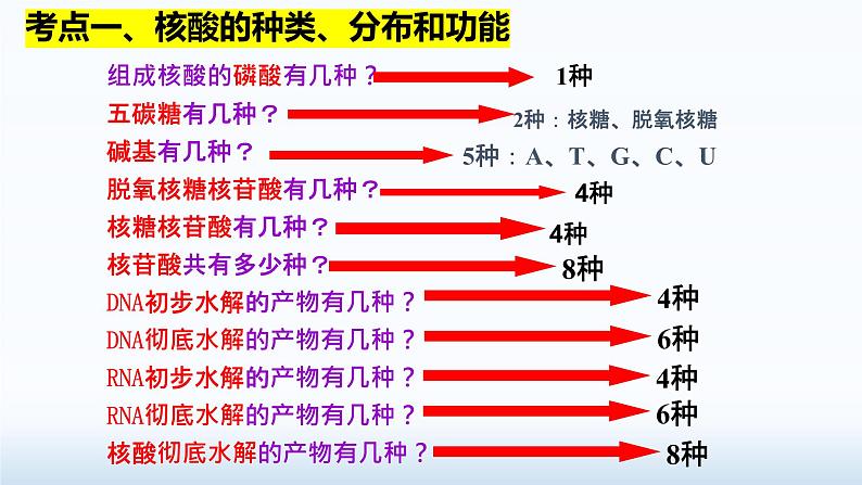 2025届高三生物一轮复习课件2.5核酸是遗传信息的携带者07