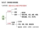 2025届高三生物一轮复习课件2：细胞的多样性和统一性