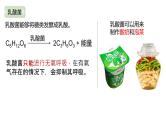 2025届高三生物一轮复习课件2：细胞的多样性和统一性