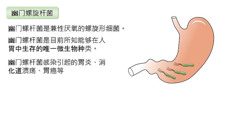 2025届高三生物一轮复习课件2：细胞的多样性和统一性第8页