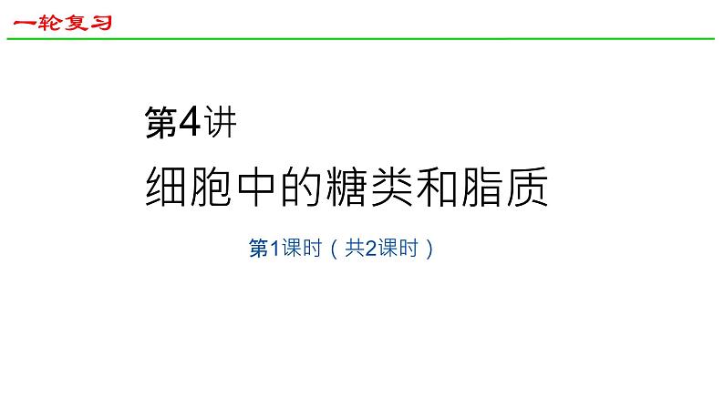 2025届高三生物一轮复习课件4：细胞中的糖类和脂质（第1课时）第1页