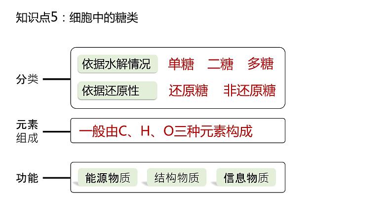 2025届高三生物一轮复习课件4：细胞中的糖类和脂质（第1课时）第2页