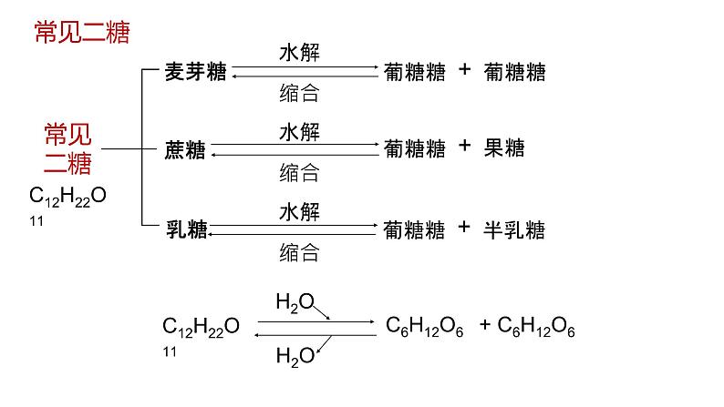 2025届高三生物一轮复习课件4：细胞中的糖类和脂质（第1课时）第8页