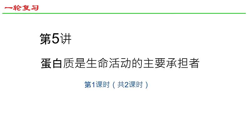 2025届高三生物一轮复习课件6：蛋白质是生命活动的主要承担者（第2课时）第1页