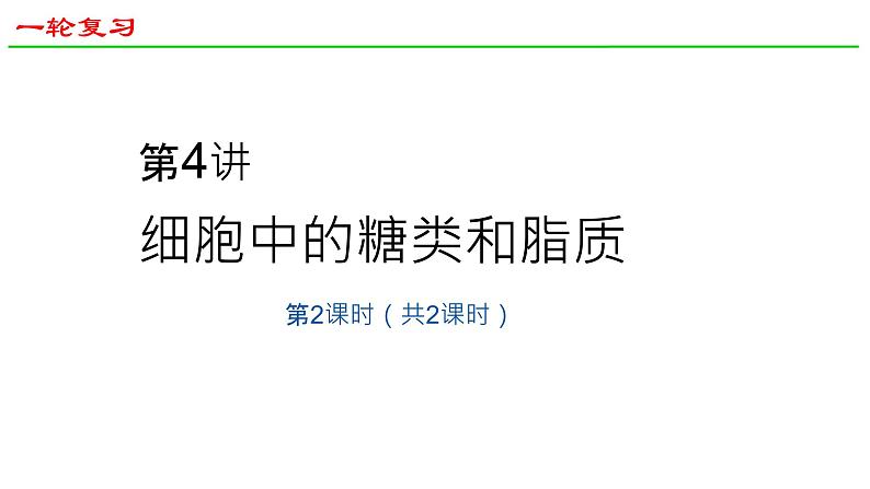 2025届高三生物一轮复习课件5：细胞中的糖类和脂质（第2课时）第1页