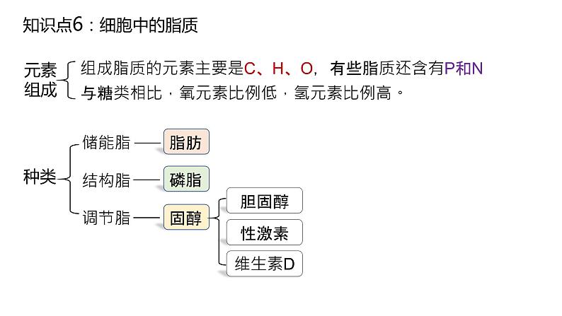 2025届高三生物一轮复习课件5：细胞中的糖类和脂质（第2课时）第2页