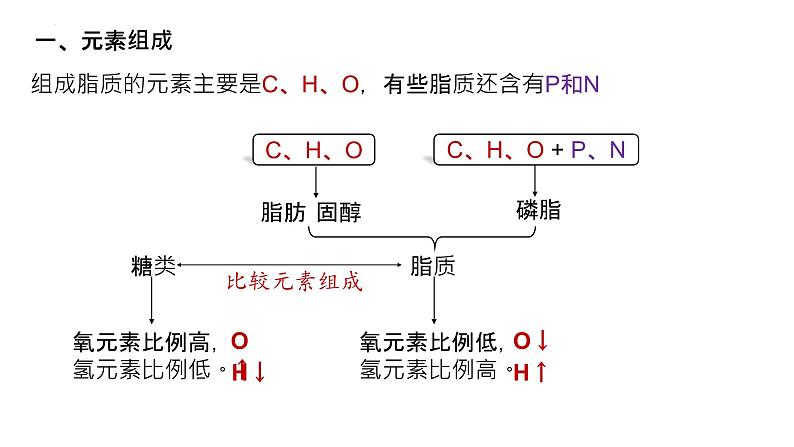 2025届高三生物一轮复习课件5：细胞中的糖类和脂质（第2课时）第3页