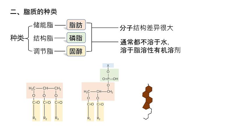 2025届高三生物一轮复习课件5：细胞中的糖类和脂质（第2课时）第4页