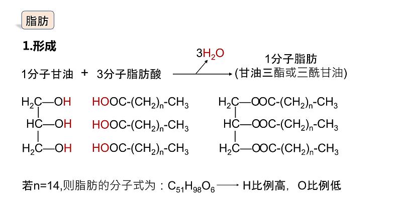 2025届高三生物一轮复习课件5：细胞中的糖类和脂质（第2课时）第5页