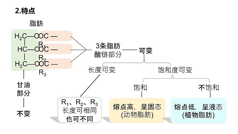 2025届高三生物一轮复习课件5：细胞中的糖类和脂质（第2课时）第6页