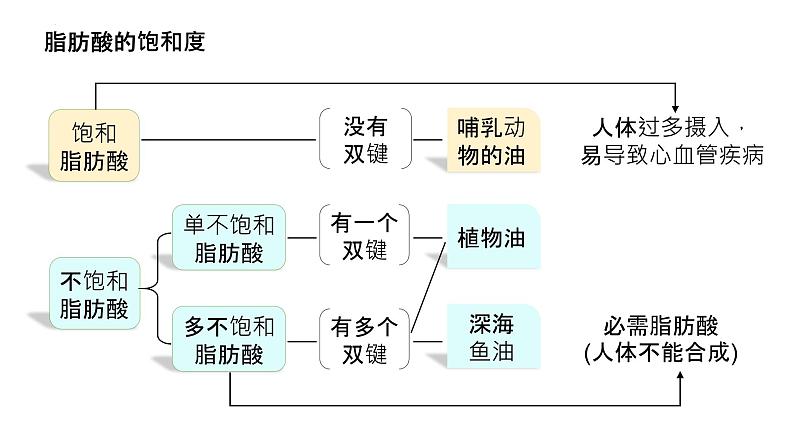 2025届高三生物一轮复习课件5：细胞中的糖类和脂质（第2课时）第7页