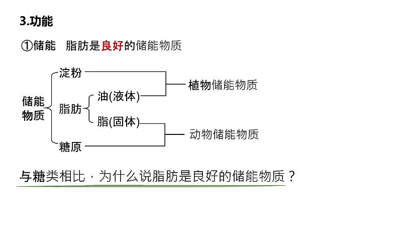 2025届高三生物一轮复习课件5：细胞中的糖类和脂质（第2课时）第8页