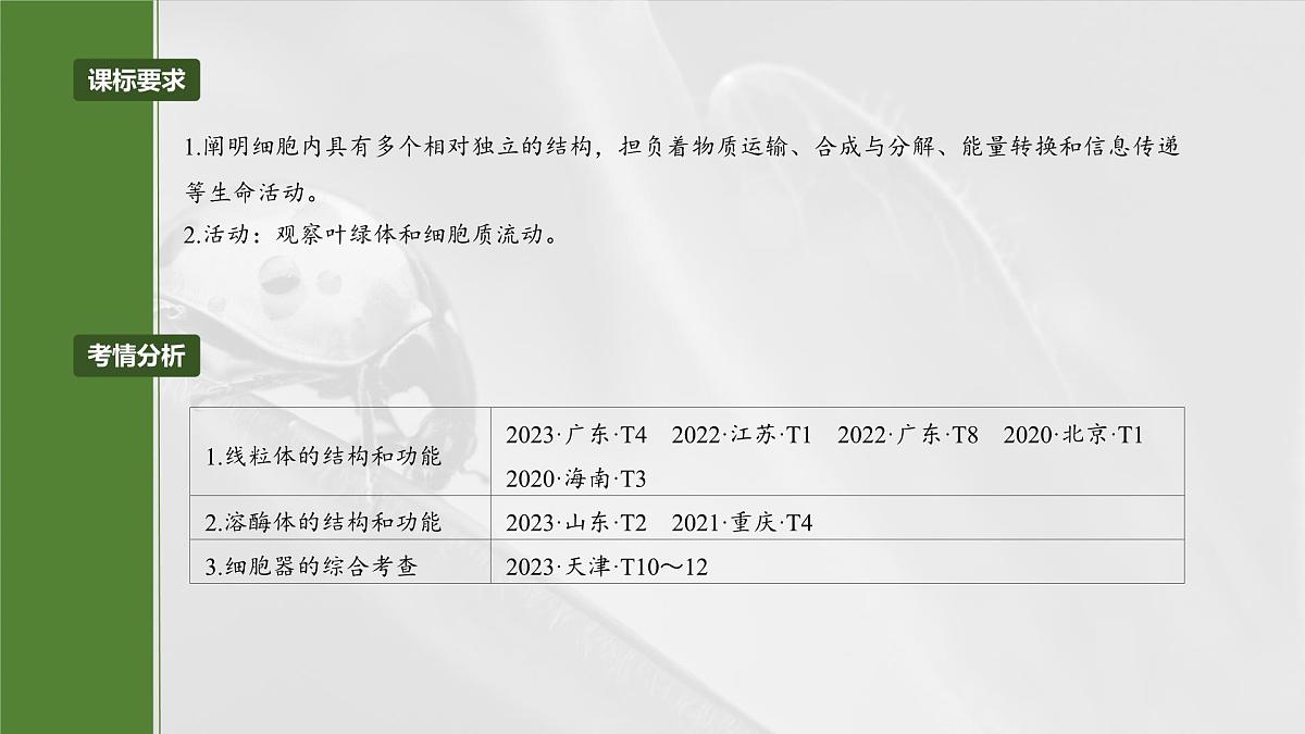 2025届高三生物一轮复习课件第7课时　细胞器之间的分工第2页