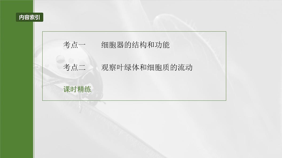 2025届高三生物一轮复习课件第7课时　细胞器之间的分工第3页