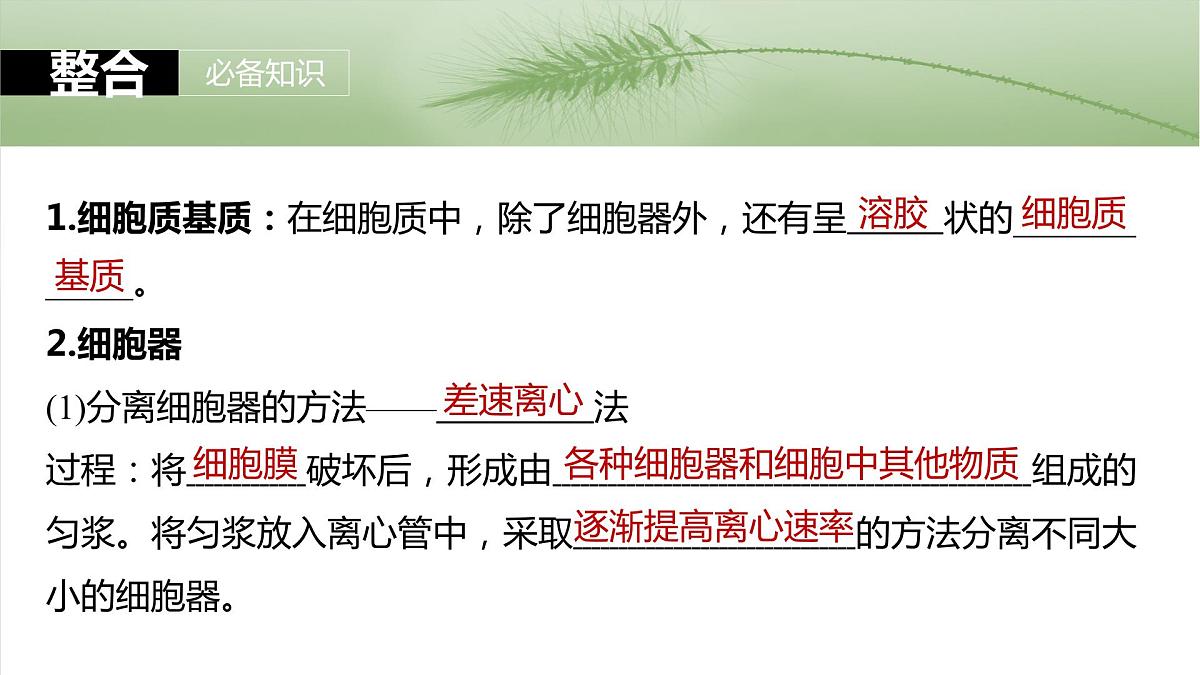 2025届高三生物一轮复习课件第7课时　细胞器之间的分工第5页