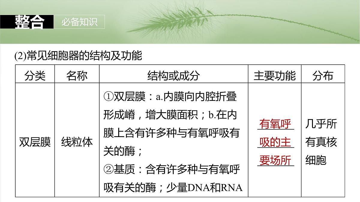 2025届高三生物一轮复习课件第7课时　细胞器之间的分工第6页
