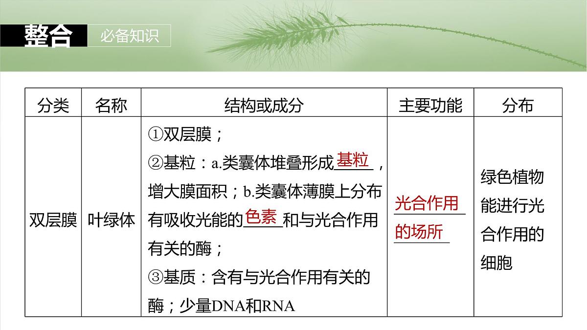2025届高三生物一轮复习课件第7课时　细胞器之间的分工第7页