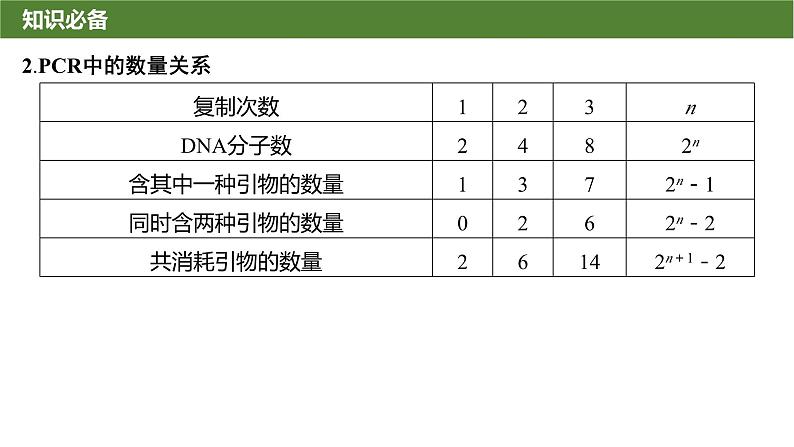 2025届高三生物一轮复习课件微拓展11：PCR技术与电泳相关问题第3页