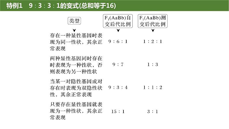 2025届高三生物一轮复习生物：基因的自由组合定律遗传特例分析课件第2页