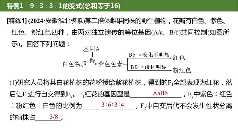 2025届高三生物一轮复习生物：基因的自由组合定律遗传特例分析课件第4页