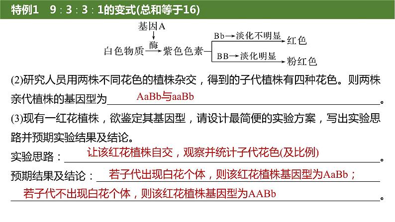 2025届高三生物一轮复习生物：基因的自由组合定律遗传特例分析课件第5页