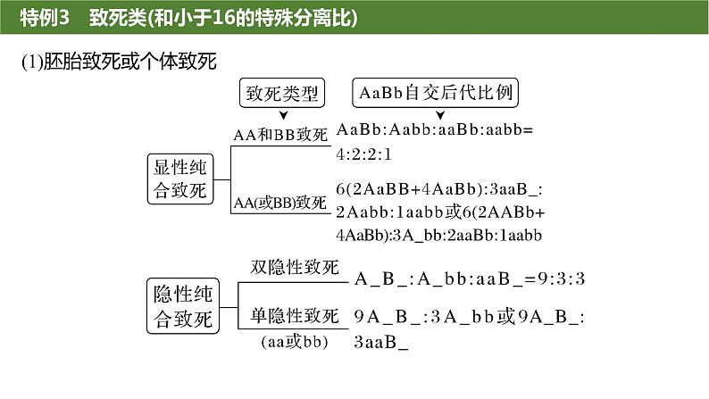2025届高三生物一轮复习生物：基因的自由组合定律遗传特例分析课件第8页