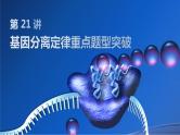 2025届高三生物一轮复习生物：基因分离定律重点题型突破课件