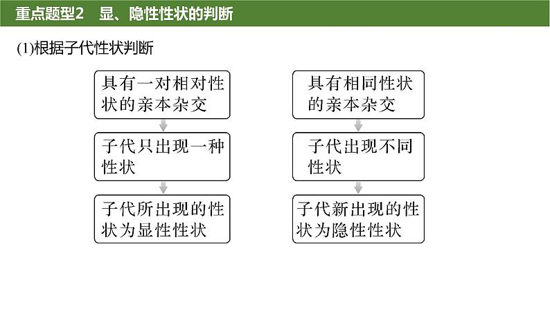 2025届高三生物一轮复习生物：基因分离定律重点题型突破课件07