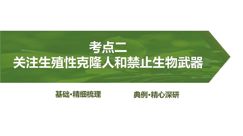 2025届高三生物一轮复习生物：生物技术的安全性与伦理问题课件第8页