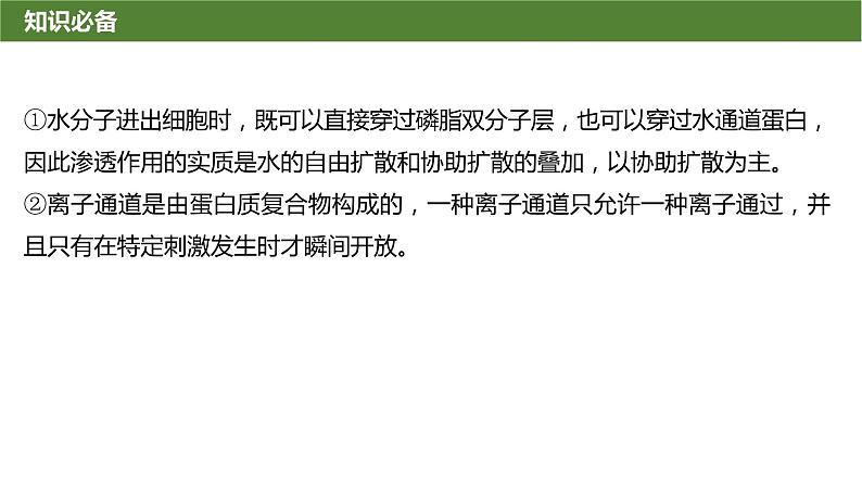 2025届高三生物一轮复习微拓展2：与物质出入细胞方式有关的热考题型课件第3页